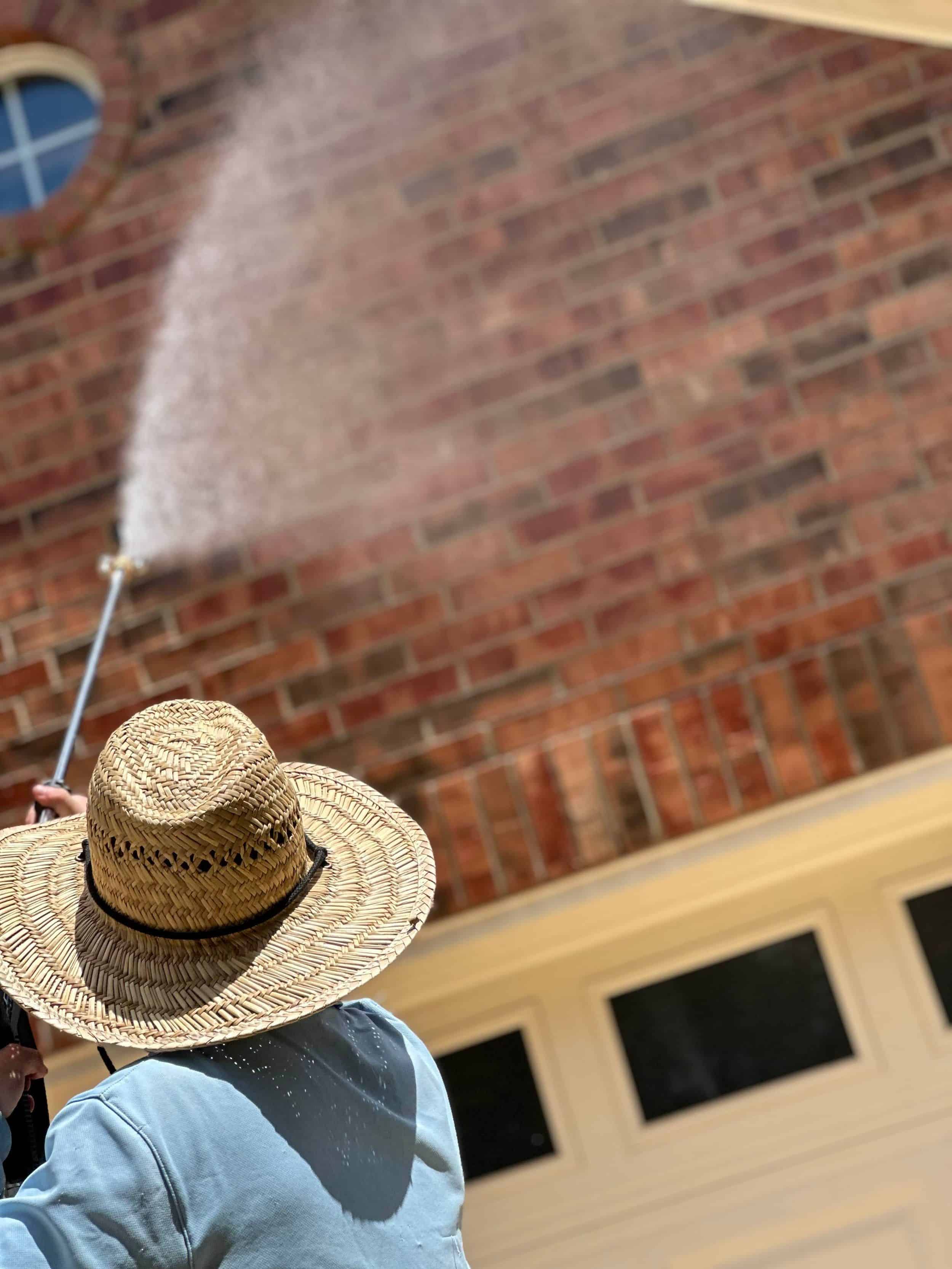 Soft Washing image