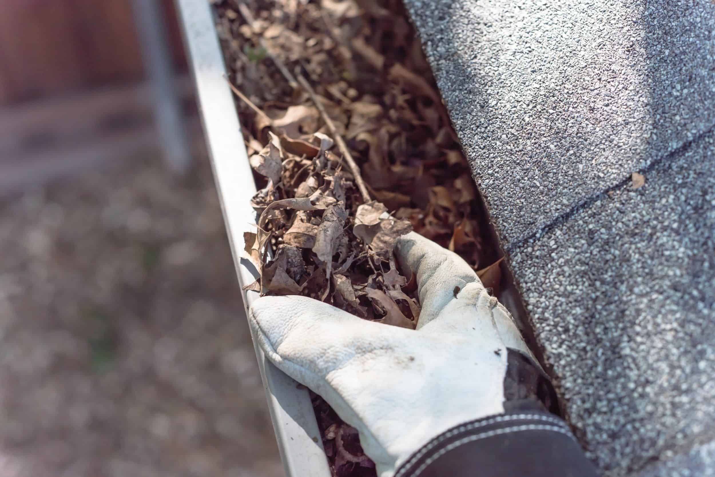 Gutter Cleaning image