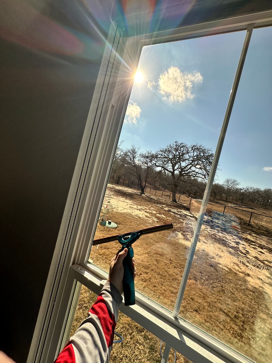 Person holding a spray bottle by a sunny window overlooking a field with trees.