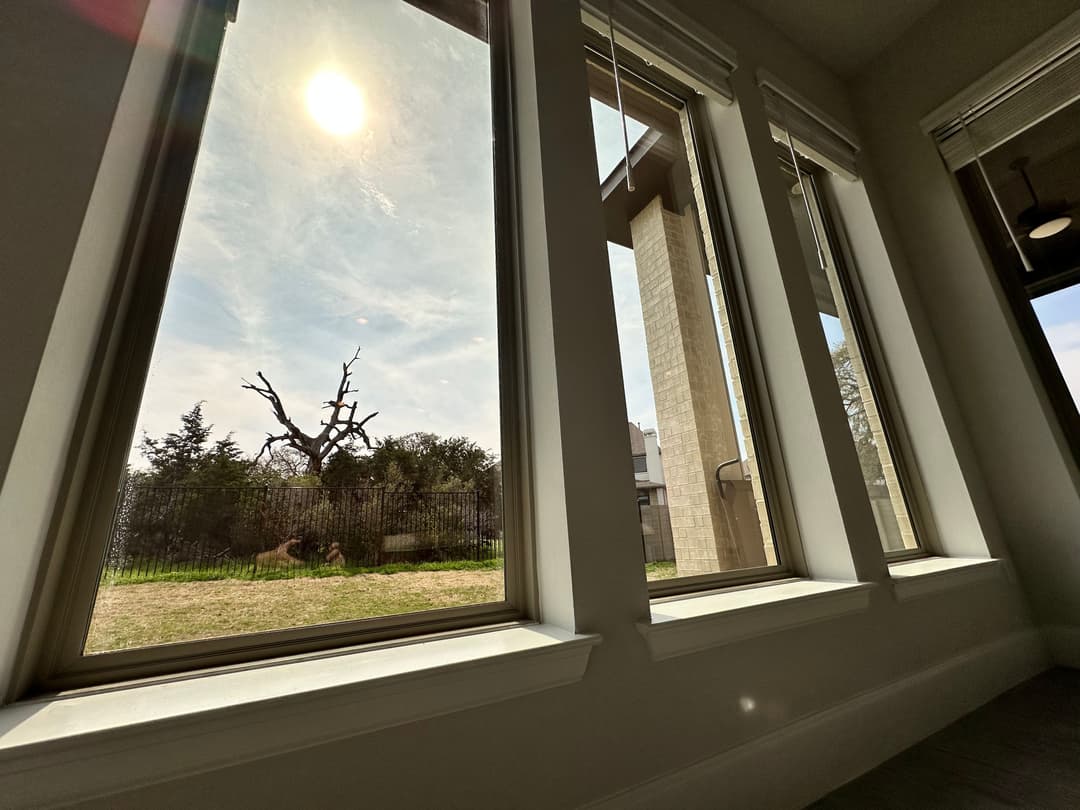 Sunlight streaming through large windows, showcasing a scenic view and a unique tree outside.