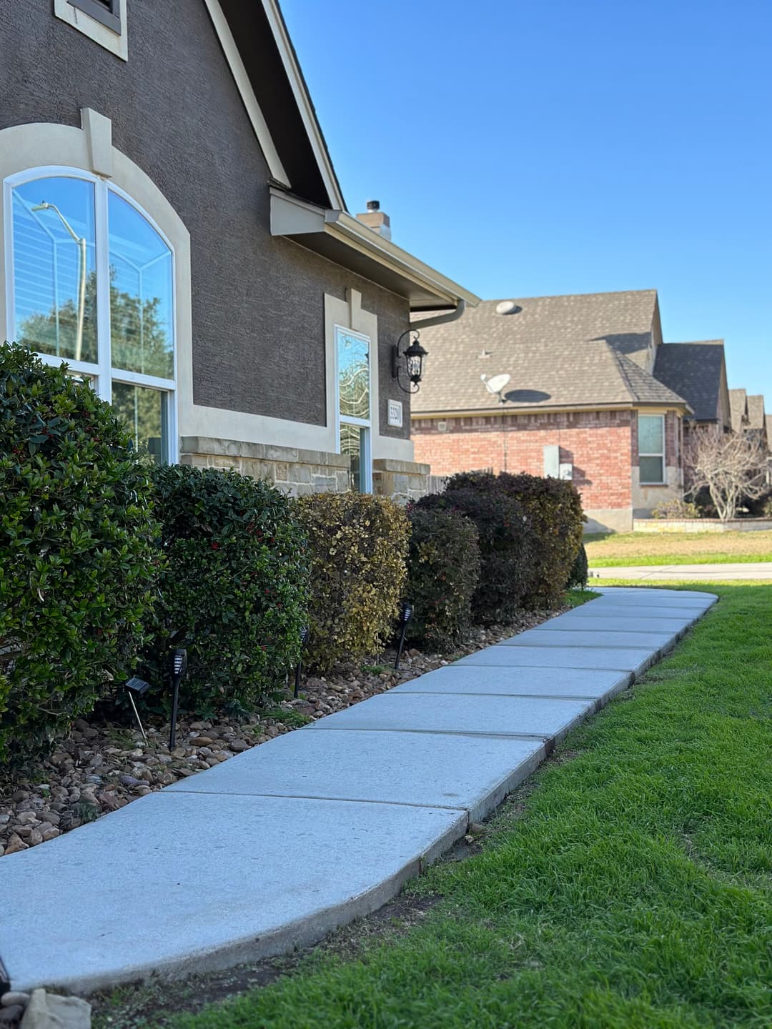 Residential sidewalk leading to a house with well-maintained hedges and clear blue sky.