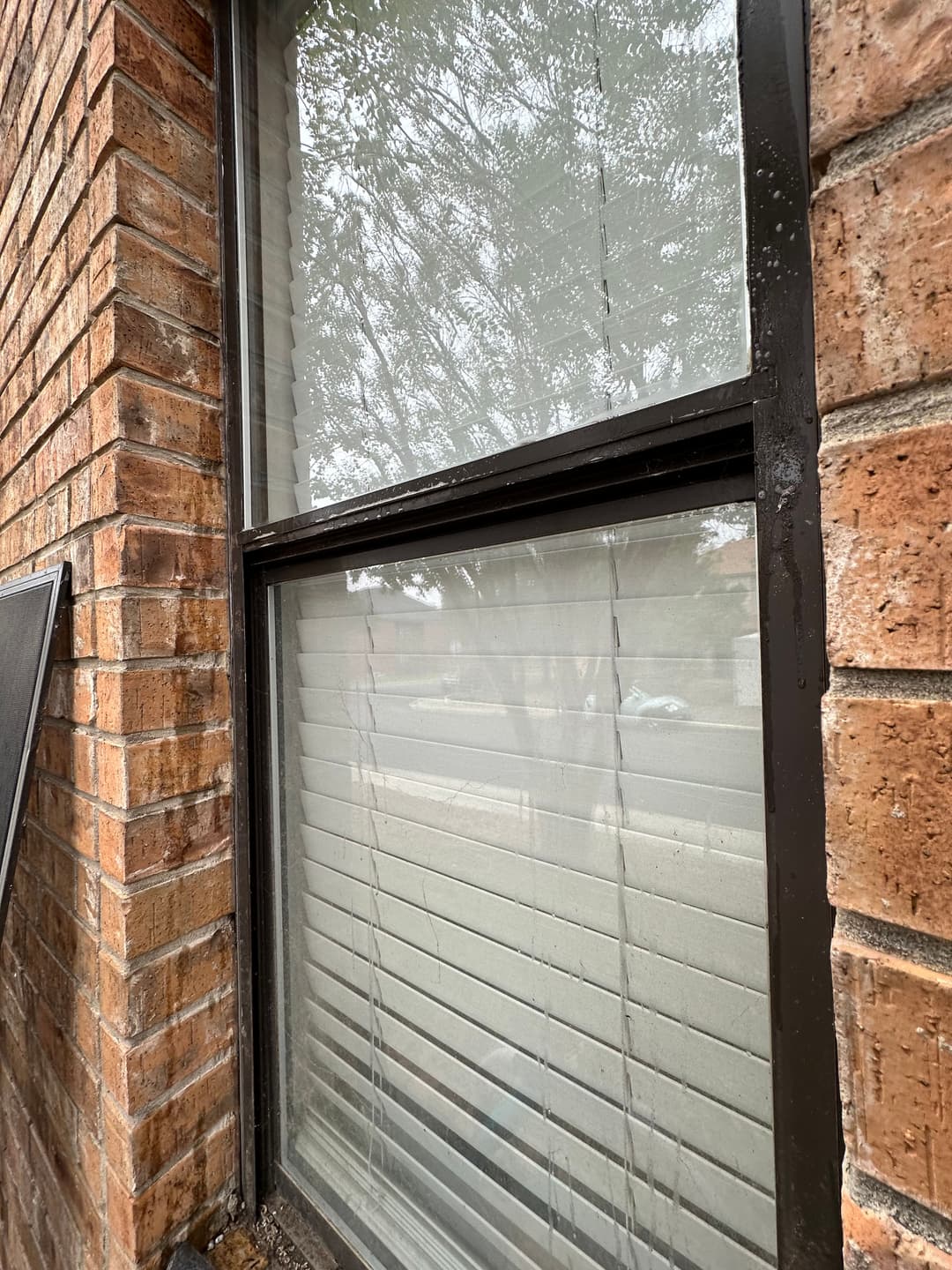Close-up of a window with horizontal blinds beside a brick wall, showcasing outdoor reflections.