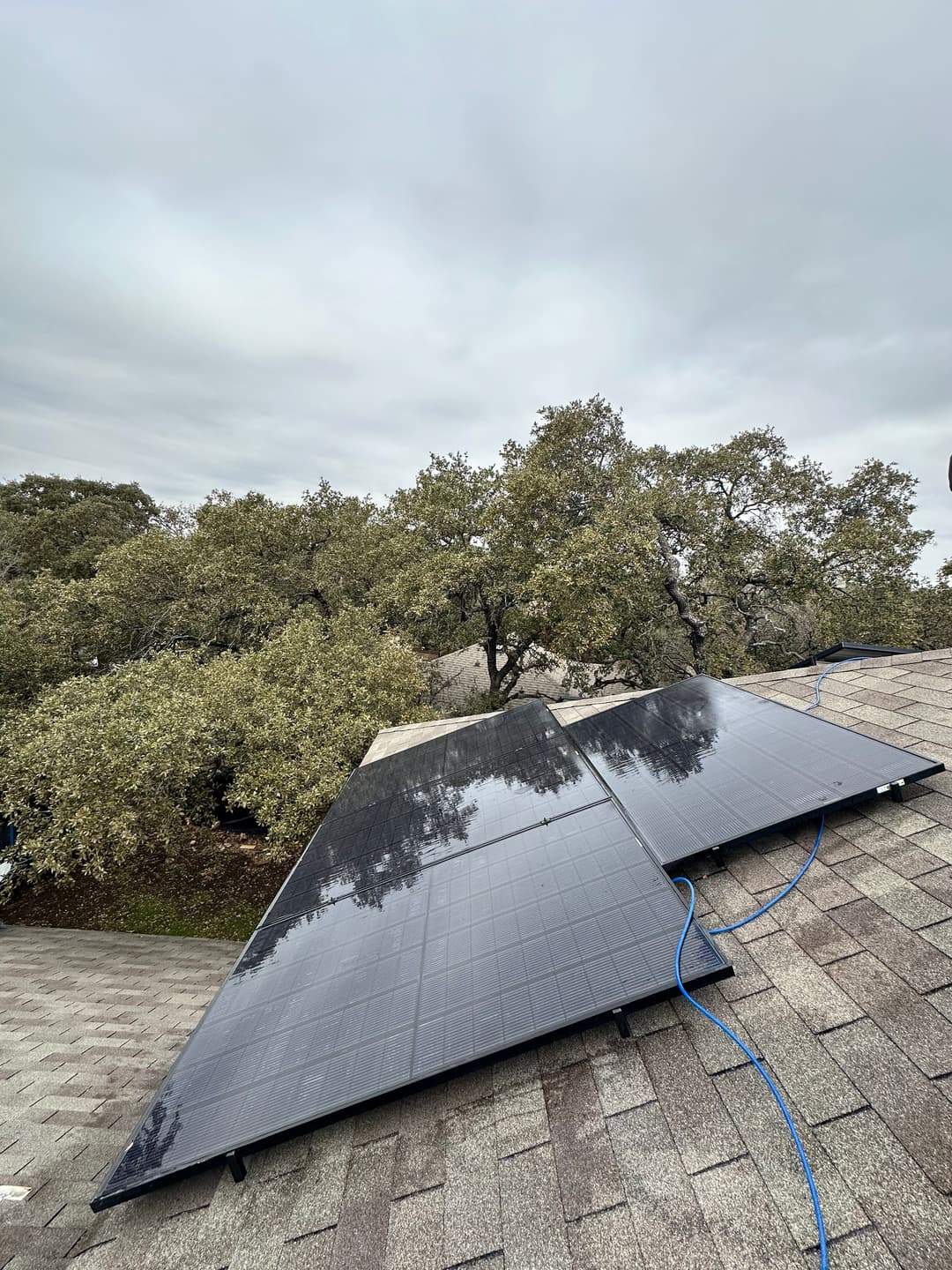 Solar panels installed on a rooftop with cloudy sky and surrounding trees in the background.