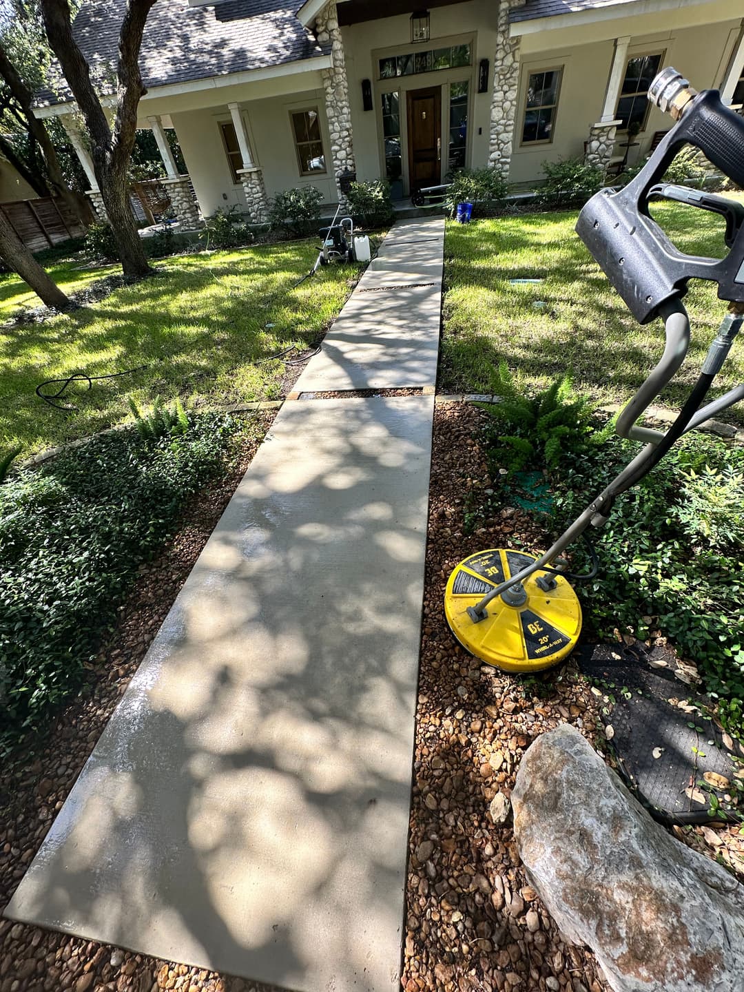 Freshly poured concrete sidewalk leading to a house, surrounded by greenery and tools.