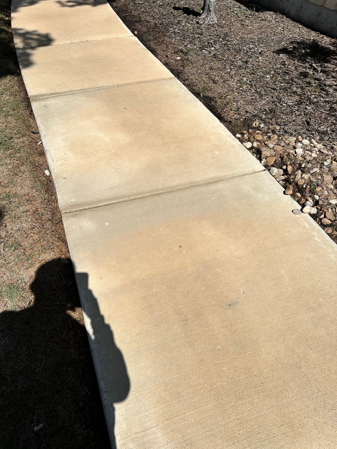 Concrete sidewalk curving through a landscaped area with shadows and rocky border.
