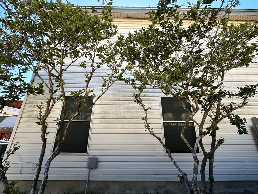 Side view of a house with two trees and two windows, showcasing exterior details.