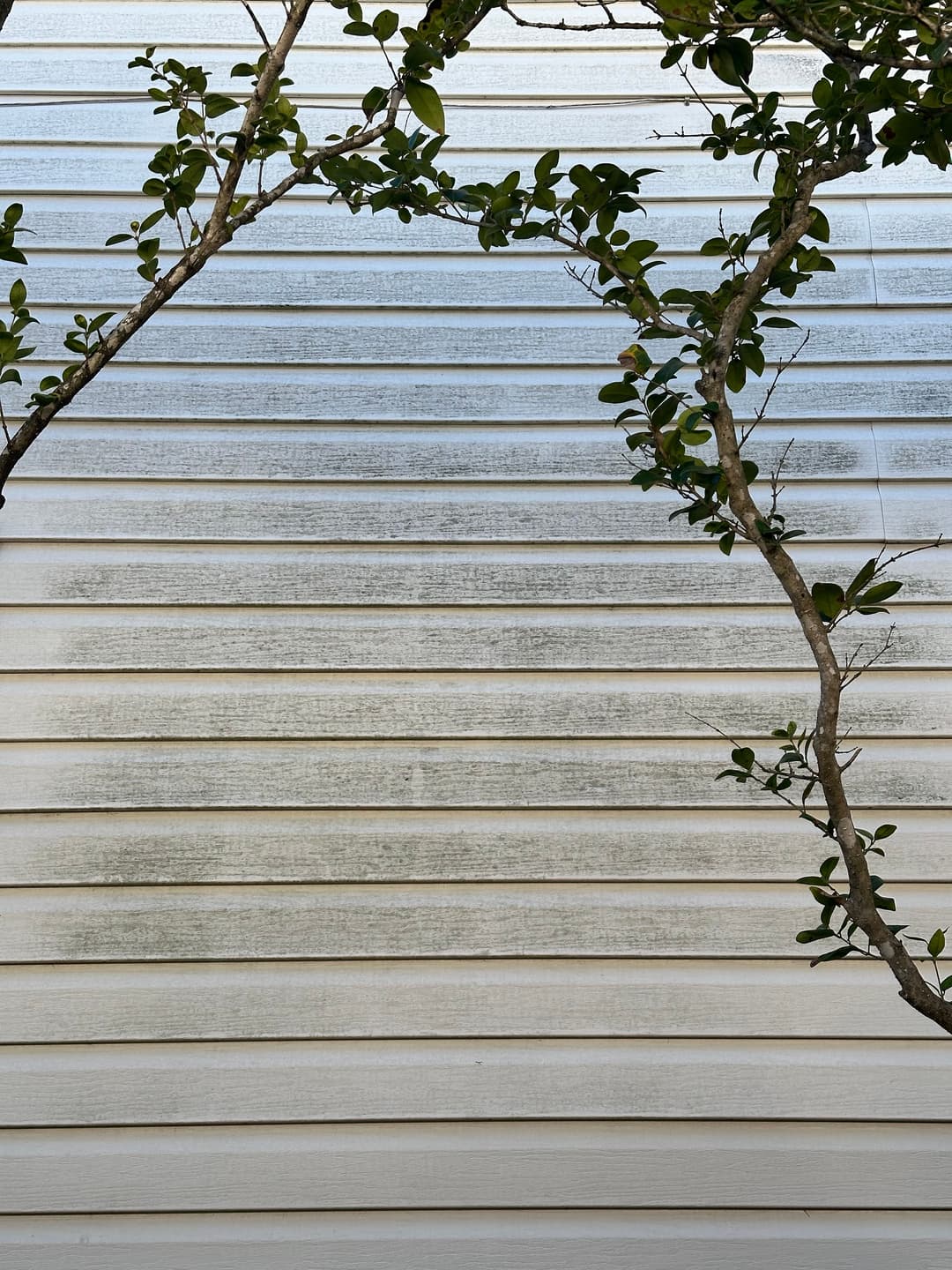 Textured white siding with green foliage framing the image, showcasing a clean exterior.
