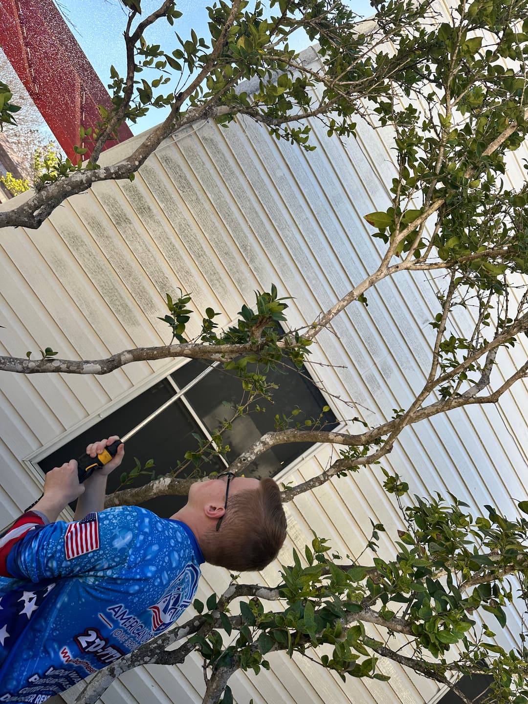 Person pruning a tree near a house with white siding, wearing a blue shirt and glasses.