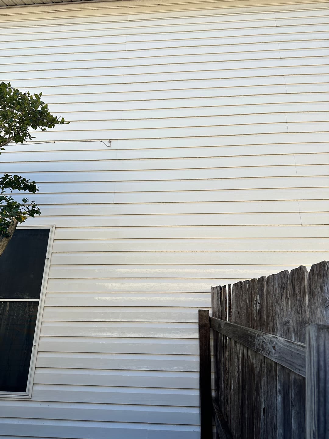 White house siding with a green tree and a wooden fence in the foreground.