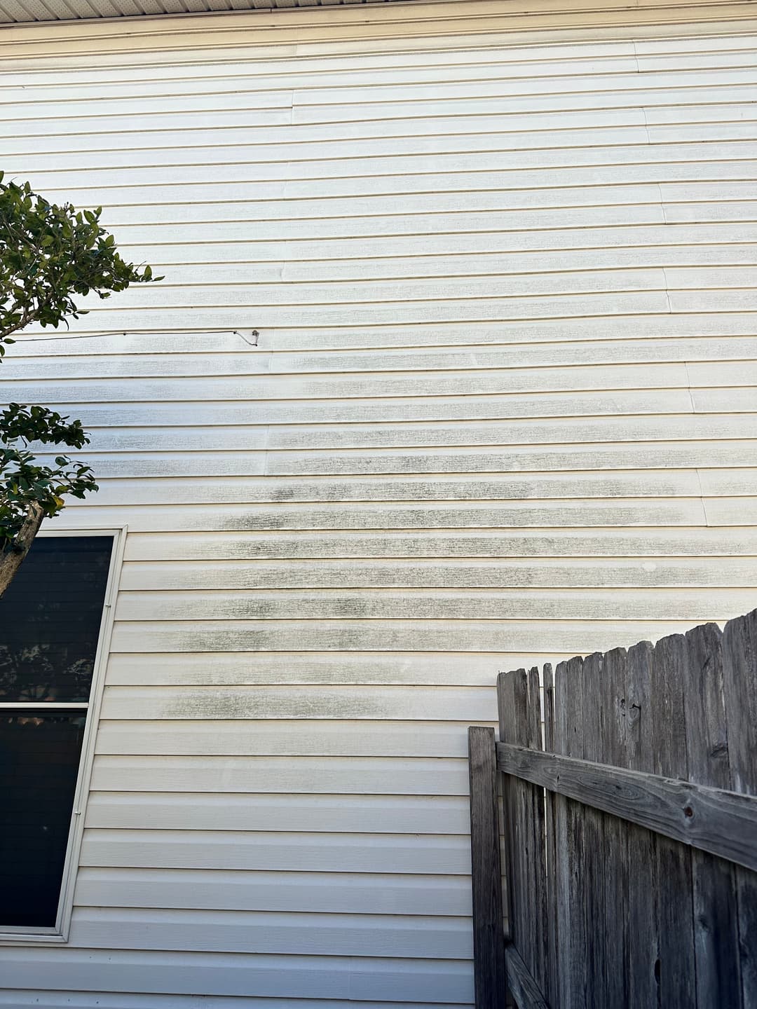 Dirty exterior house wall with green stains and nearby tree and fence.