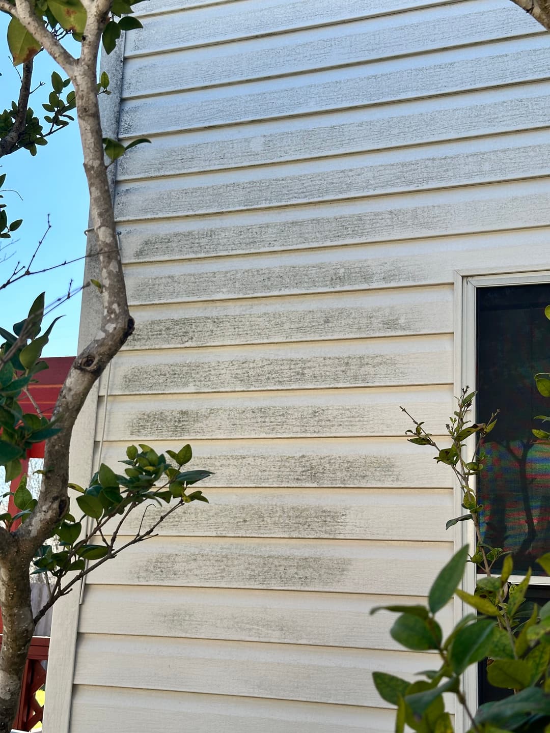 Dirty white vinyl siding on a house with green plants nearby and blue sky.