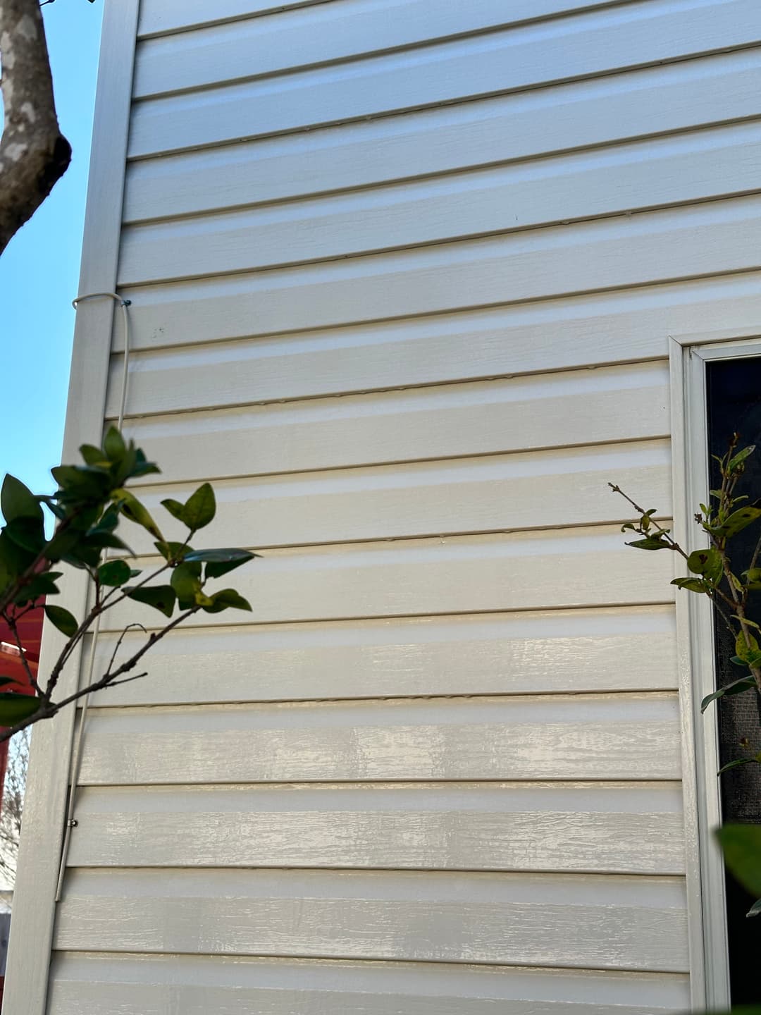 Vertical siding of a house with green foliage in front, showcasing exterior details.